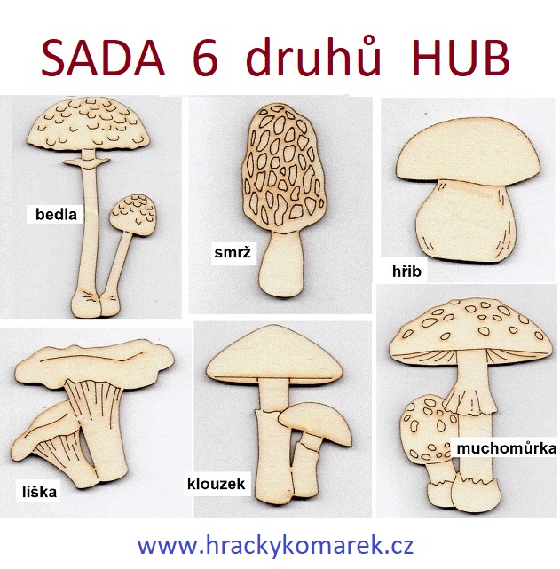 Magnetky houby 6 druhů